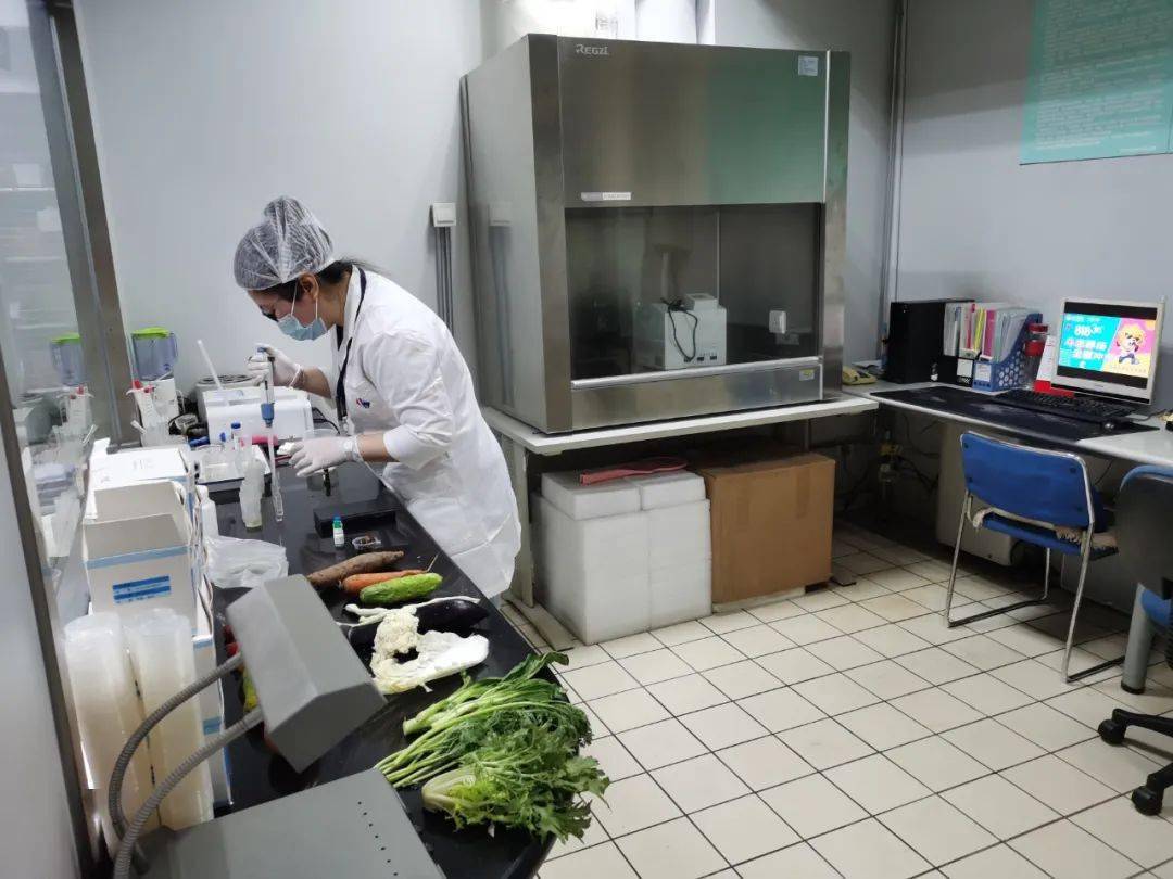 杨林尾镇食品检测实验室装修方案